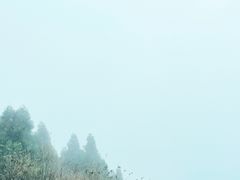 -武陵山森林公园