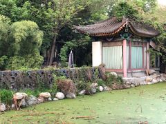 -莲湖公园