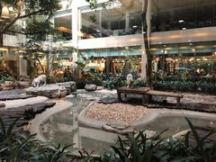 景观位-白虎自助餐厅·真老虎·景观自助餐厅(广州长隆酒店)
