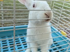 -春霞园餐厅