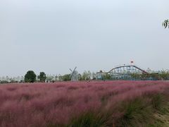 -金卉庄园