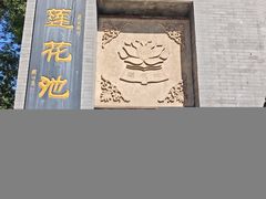 -莲花池公园