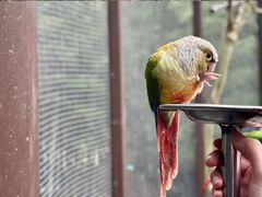 -天目湖御水温泉·度假酒店