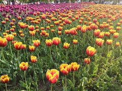 -长春公园(普阳街道)