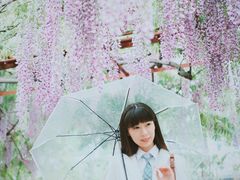 -嘉定紫藤园