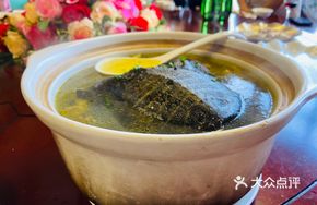 Softshell Turtle Chicken Soup