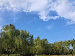 -北坞公园