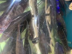 -北国超市(天河店)