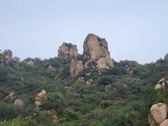 -大岭沟猕猴桃谷风景区