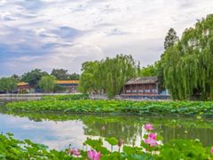 -莲花池公园