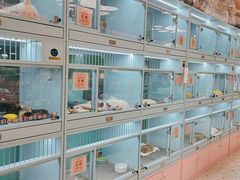 -FAELING PETS美天灵宠物(合生汇店)