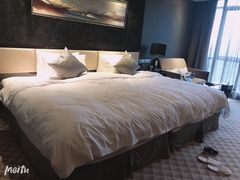 -常州环球恐龙城维景国际大酒店