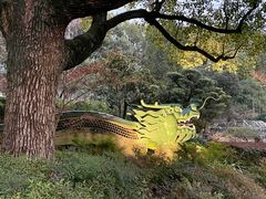 -申粤轩酒楼·三十年粤菜经典(丁香花园店)