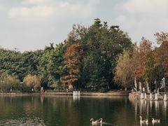 -东莞市可园博物馆