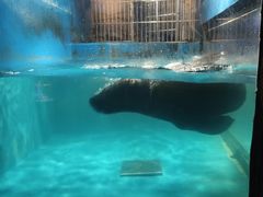 -梦幻海洋王国(吾悦广场张家港店)