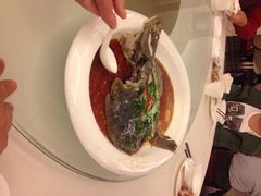 东海海鲜鱼翅酒家-君豪大酒店-东海渔村中餐厅