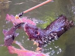 -正佳雨林生态植物园