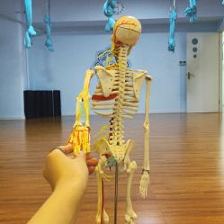 -伽尔瑜伽普拉提工作室