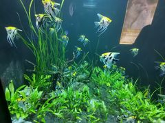 -成都浩海立方海洋公园