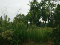 -鹦鹉寺公园