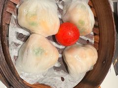 -新兴·金羊座·粤菜点心(乐峰店)