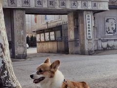 -冶山国家矿山公园