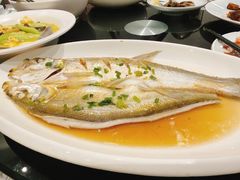 鸡油蒸白鱼-三凤酒家·百年无锡菜(清扬茂业店)