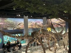 -国家自然博物馆