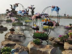 -荷兰花海