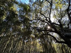 -兰亭风景区