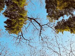 -杭州半山国家森林公园