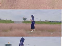 -王借岗森林公园