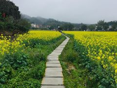 -红山村