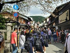 -有栖山 清光院 清水寺