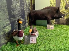 -房山世界地质公园博物馆