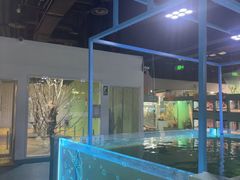 -上海大自然野生昆虫馆(东方明珠·爬宠昆虫探索中心)