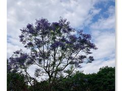 -重庆彩云湖湿地公园