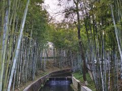 -广东温泉宾馆