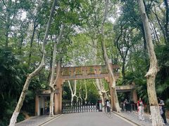 -灵谷景区