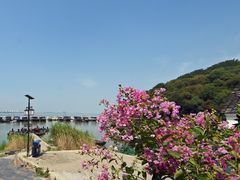 -巢湖姥山岛