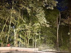 -花水湾第一村温泉大酒店