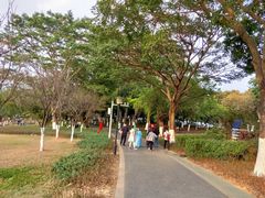 -东莞植物园