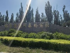 -永定河休闲森林公园