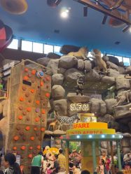 -卡通尼·Safari非洲探索乐园·生日会(金桥国际商业广场店)