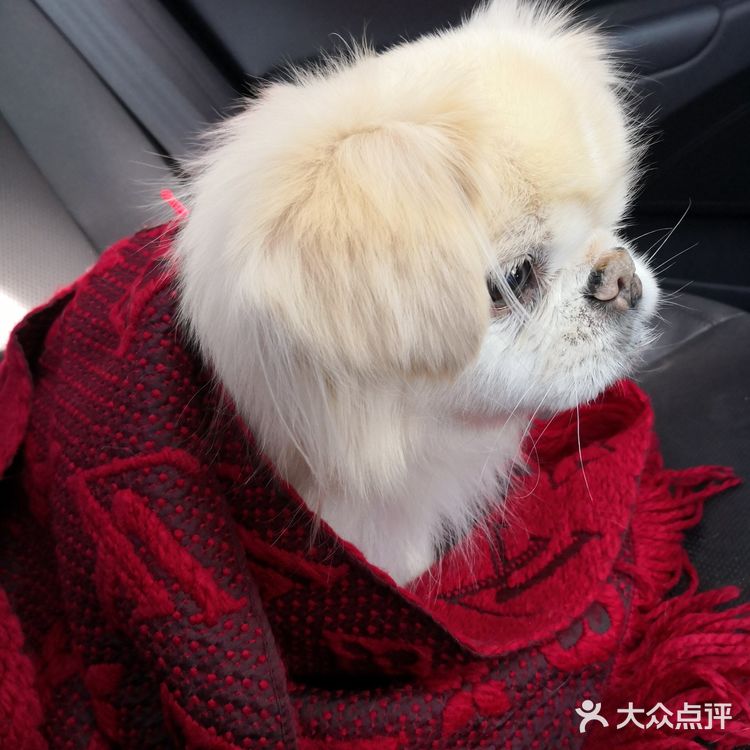 乒小乓，你想姐姐了吗？