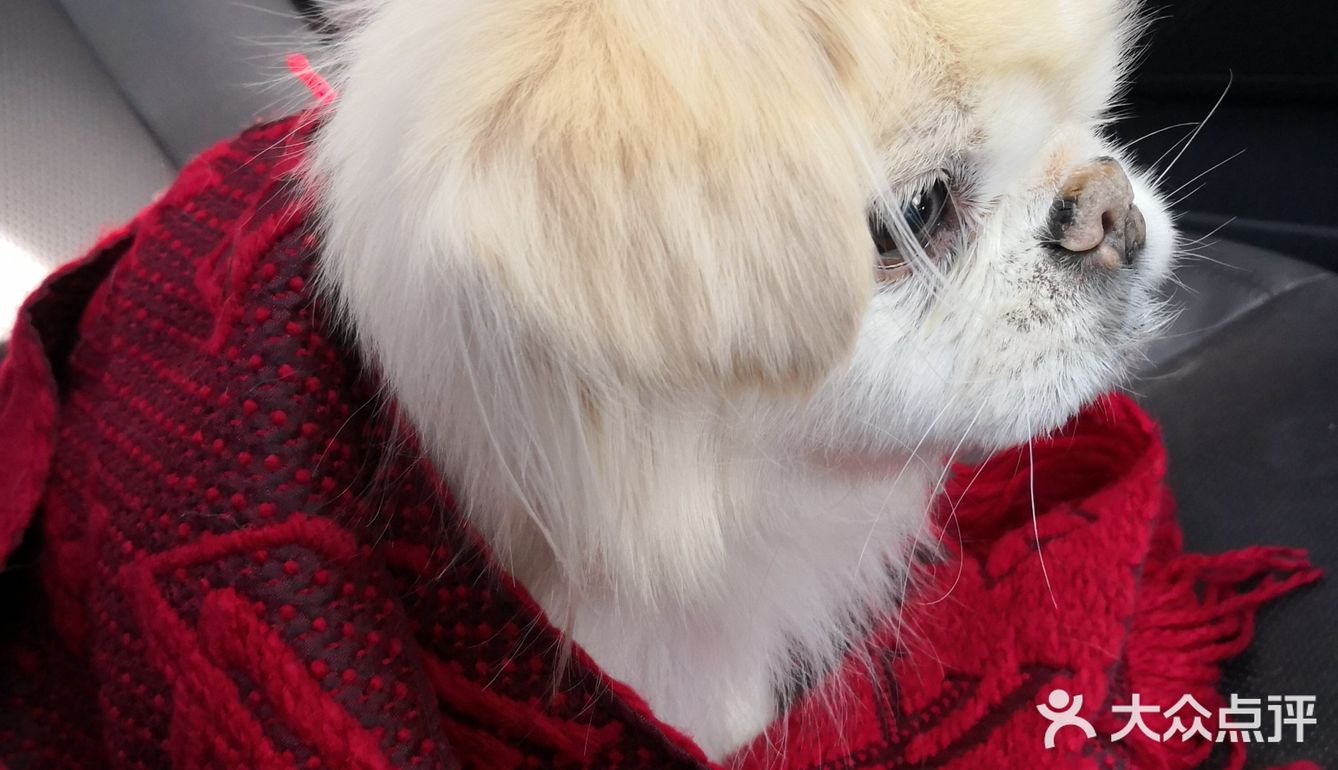 乒小乓,你想姐姐了吗?