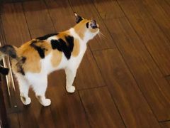 -LouisTime路易时光(蕴川路店)