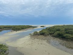 -北海金海湾红树林生态旅游区