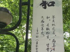-堤角公园