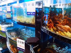 -莆鑫海鲜城(浏河店)
